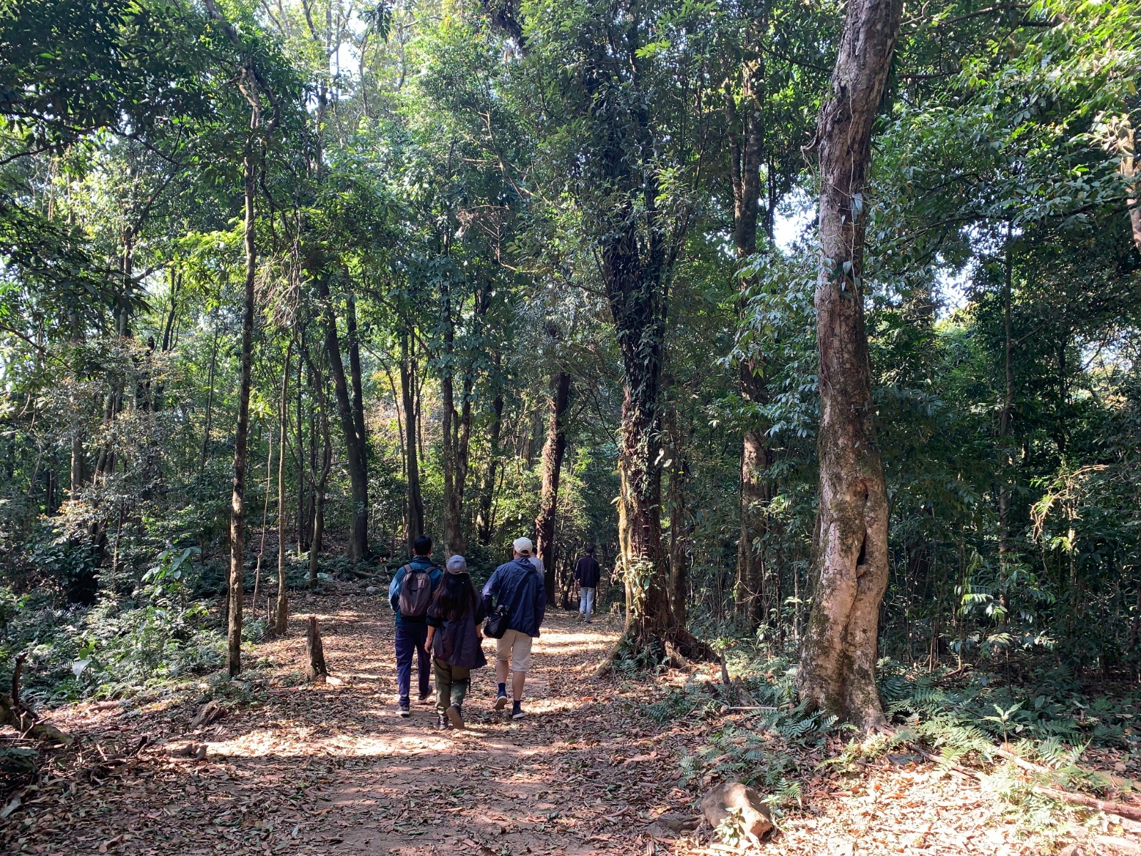 Nokrek National Park